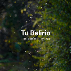 Tu Delirio