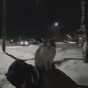 the way i see things (slowed)