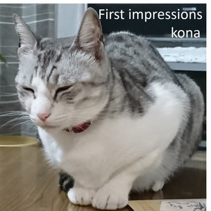 First impressions