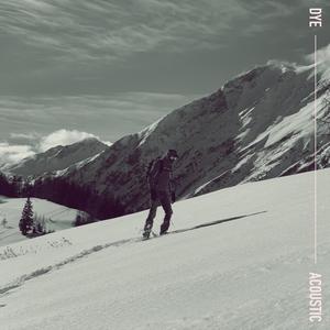 Farewell(feat. V?k) (Live Version)