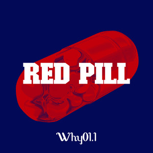 Why01.1 - Bass Check