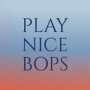 Play Nice Bops