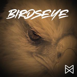 Birdseye