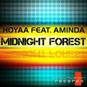 Midnight Forest (Adyjay Dub Remix)