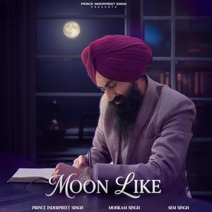 Moon Like (feat. Mohkam Singh)