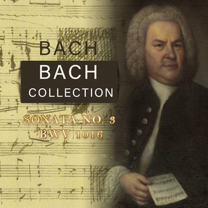 Sonata No. 3 for Violin and Harpsichord in E Major, BWV 1016 - III. Adagio ma non tanto