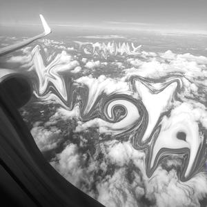 TERMINALY DEPRESS / TARP1 TRIST€ (feat. SNOE) (Explicit)