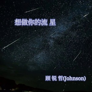想做你的流星