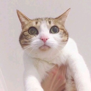 好像掉进爱情海里