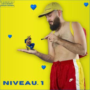 NIVEAU 1 (Explicit)