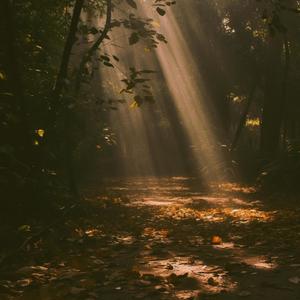 Bliss (Nature)