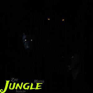 Jungle (Explicit)