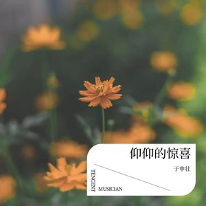 秦风·无衣封面