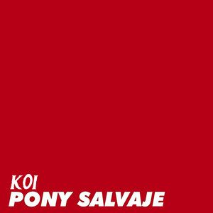 Pony Salvaje