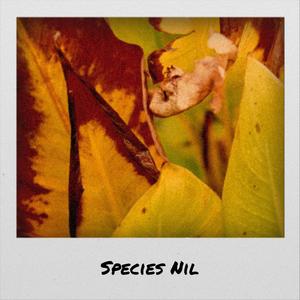 Species Nil