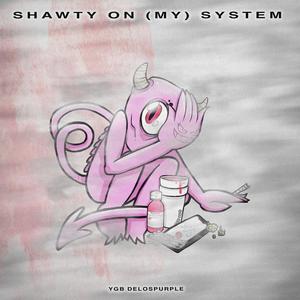 Shawtys On My System (Explicit)