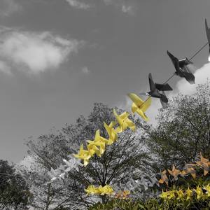 20（prod by.Red killer)