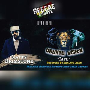 Life -Ubuntu Vision Reggae Groove (feat. Natty Brimstone)