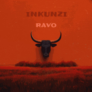 Inkunzi (Extended Mix)