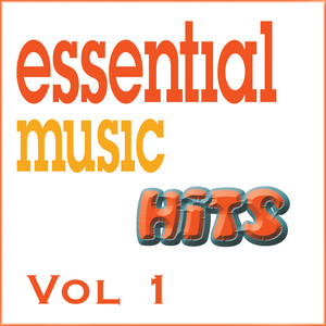 Essential Music Hits, Vol. 1