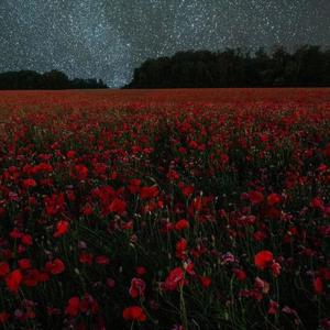 U My World (Explicit)