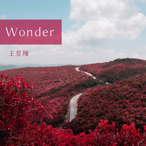 Wonder Ⅰ