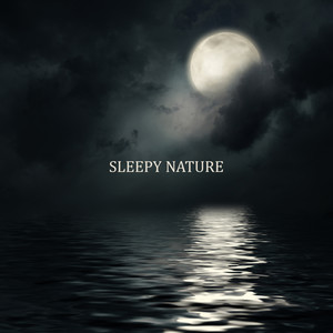 Sleepy Nature: Relaxing Music that'll Help You Fall Asleep and Sleep Peacefully