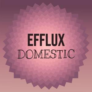 Efflux Domestic