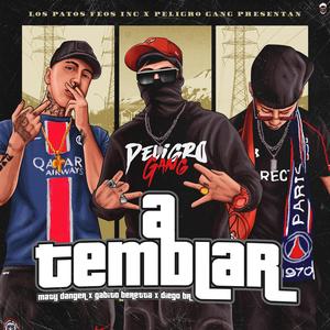 A TEMBLAR (feat. Gabito beretta & DiegoBr)