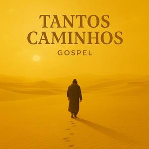 Tantos caminhos