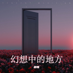 理想境 (氛围版)封面