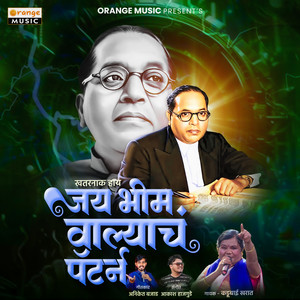 Khatarnak Hay Jay Bhim Walyach Pattern