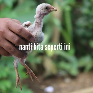 Nanti kita seperti ini