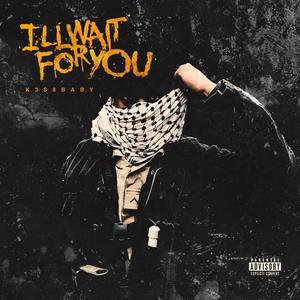 Ill wait for you (Remix) [Explicit]