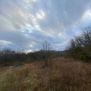 B4UVTW (feat. 4nemroc|Explicit)