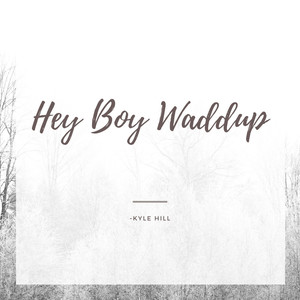 Hey Boy Waddup
