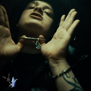 SALAMANDRA (Explicit)