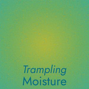 Trampling Moisture