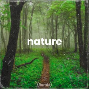 Nature (Remix)