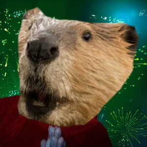 Beavers' New Year