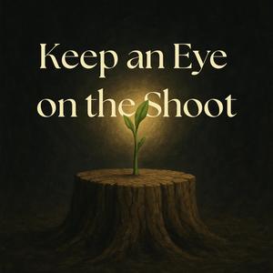Keep an Eye on the Shoot (feat. Chloe McCarthy & Kenny Moore)