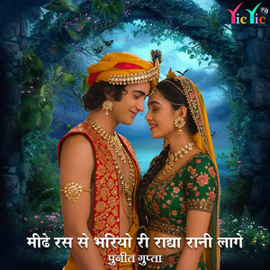 Mithe Ras Se Bharyo Ri Radha Rani Lage