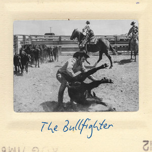 The Bullfighter