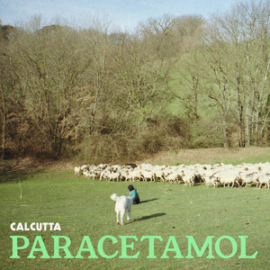 Paracetamol (Explicit)