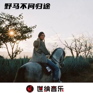 网红蹦迪专属摇 (DJ版)