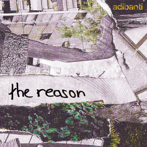 The Reason