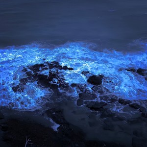 回忆是一把生锈的刀