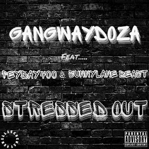 Stressed out (feat. PeyDay400 & Sunnylane Beast) (Explicit)