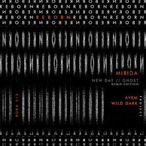 Ghost (Wild Dark Remix)