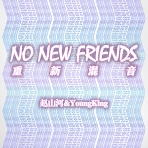 No New Friends  (Remix)